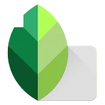 Snapseed icon