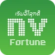 NV Fortune icon