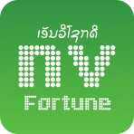 NV Fortune icon