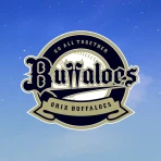 オリックス・バファローズ公式 icon