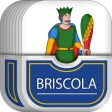 Briscola icon