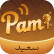Pami icon
