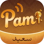 Pami icon