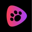 PawShort-Dramas & Reels icon