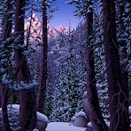 Living Worlds – Mark Ferrari icon