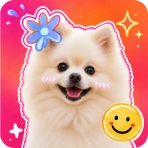 Sticker Maker Studio & Editor icon