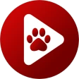 Fluid Video Player icon