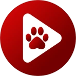 Fluid Video Player icon