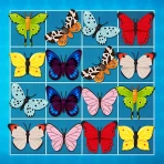 Onet Master: connect & match icon