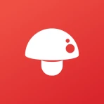Print Master icon