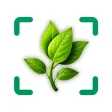 Växtidentifierare och växtvård icon