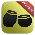 Rhythm Tabla & Tanpura PREMIUM icon