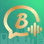 Bota - Voice Chat Party icon