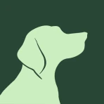 Raising Dog: Puppy Training icon