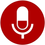 sanelin - helppo tallennin icon