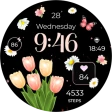 ReS28 - Seasonal Watch Face icon