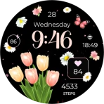 ReS28 - Seasonal Watch Face icon
