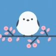 Shima Bird - Japanese Learning icon