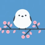 Shima Bird - Japanese Learning icon