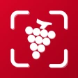 Vinhos and wine id scanner icon