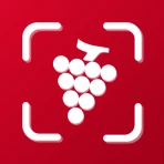 Vinhos and wine id scanner icon