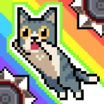 캣점프 icon