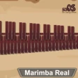 Marimba, Xylophone, Vibraphone icon