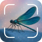 hyönteisten tunniste: bug id icon