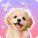 Stickify: Sticker Maker icon