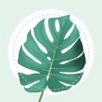 PlantMe - Plant identification icon