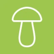 Sieniäppi icon