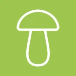 Sieniäppi icon