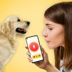 犬語翻訳アプリ: 犬の言葉がわかるアプリ icon