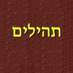 תהילים icon