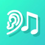 절대음감 icon