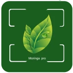 Moringa Pro icon
