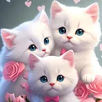 Chat mignon Fond d'écran HD icon