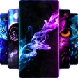 라이브 배경화면 4k - WALLPS icon