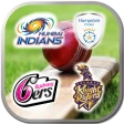 Cricket Logo Quiz - Guess Team icon