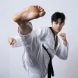 Taekwondo Kicks Training icon