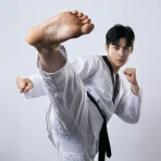 Taekwondo Kicks Training icon