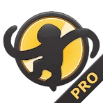 MediaMonkey Pro icon
