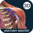 Anatomy Master icon