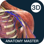 Anatomy Master icon
