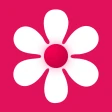 Gallery - photo gallery, album icon