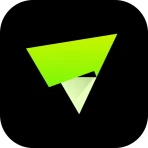 VidVault icon