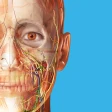 Atlas d'anatomie humaine 2025 icon
