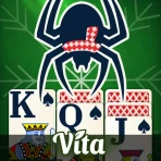 Vita Spider pour Seniors icon
