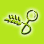 Glusearch icon