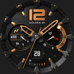 S4U Chicago - Golden 20 icon